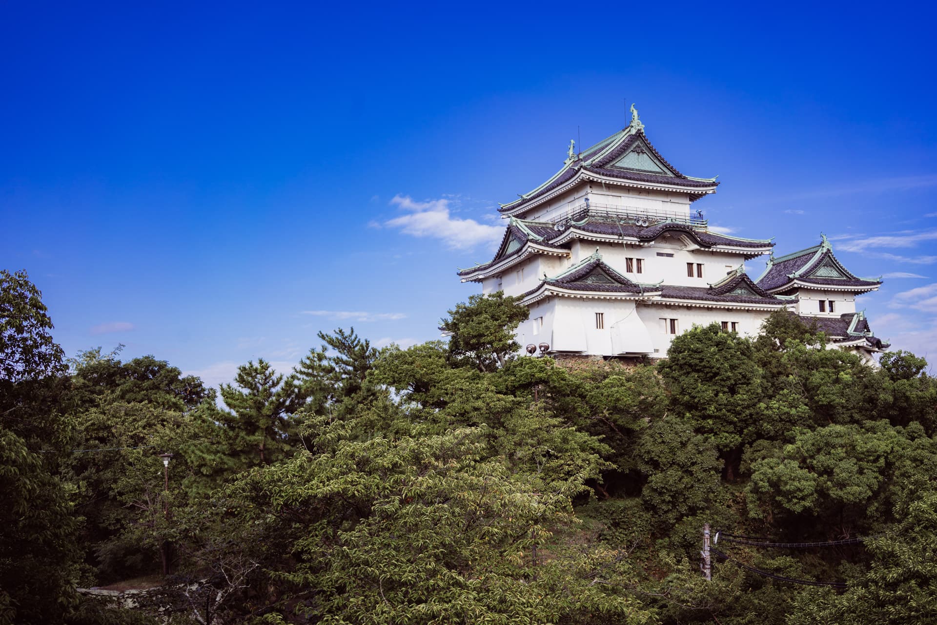 和歌山城 - 清掃活動の舞台となる歴史ある和歌山のシンボル